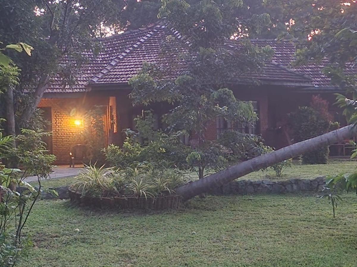 Sigiriya Cottage Exterior foto