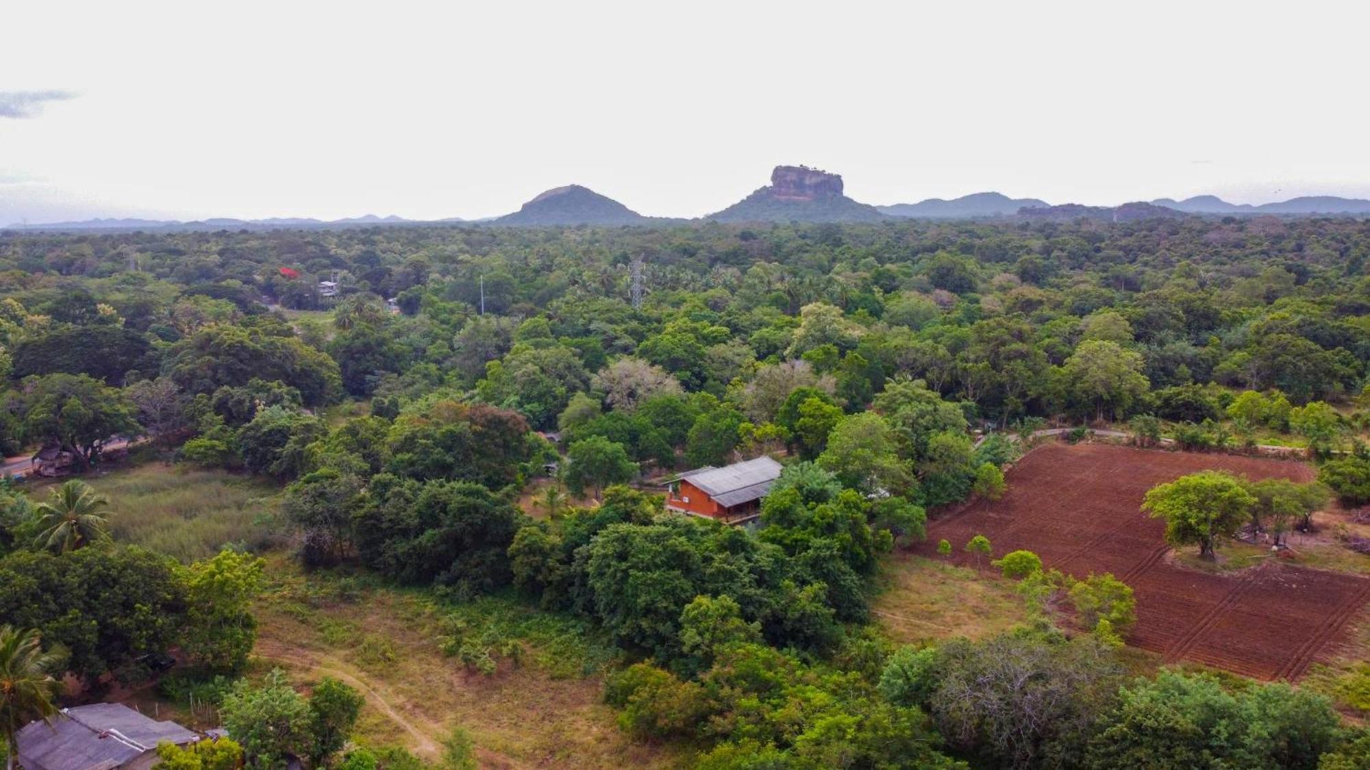 Sigiriya Cottage Exterior foto
